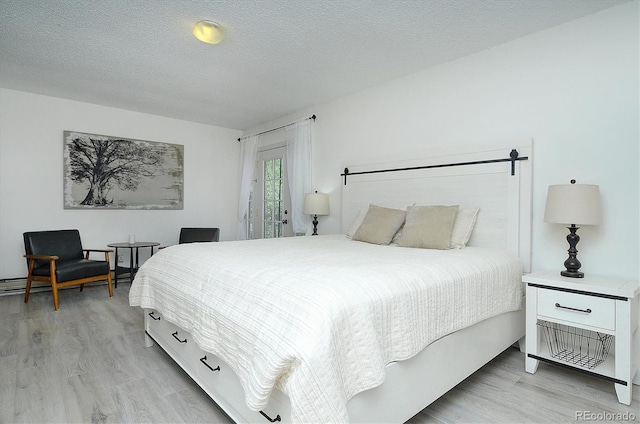 30600 County Road 371, Buena Vista, CO 81211 - bedroom with light wood finished floors and a textured ceiling