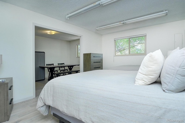 30600 County Road 371, Buena Vista, CO 81211 - bedroom with light wood finished floors and a textured ceiling