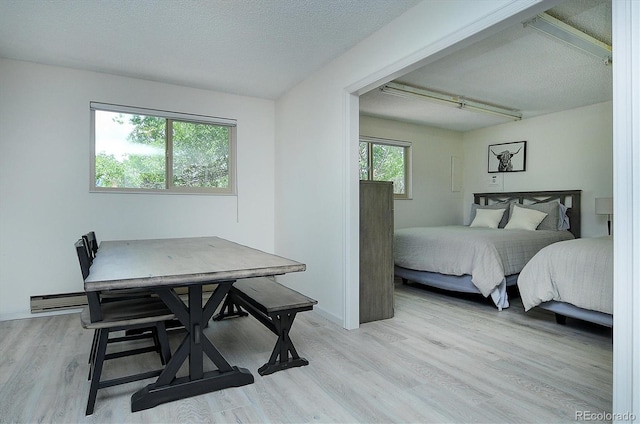 30600 County Road 371, Buena Vista, CO 81211 - bedroom featuring light wood-style flooring and a textured ceiling