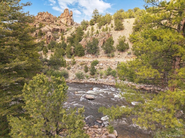 30600 County Road 371, Buena Vista, CO 81211 - view of local wilderness
