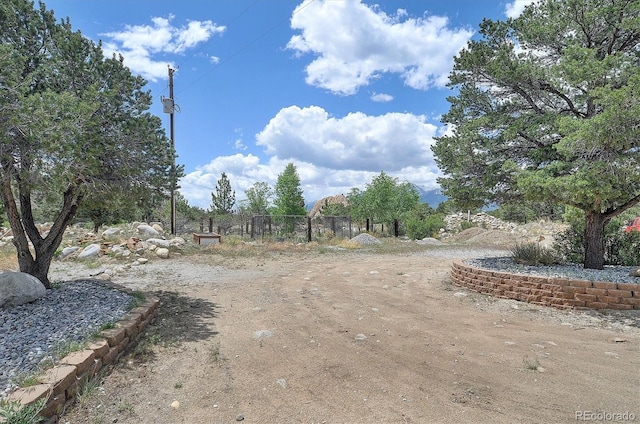30600 County Road 371, Buena Vista, CO 81211 - view of yard