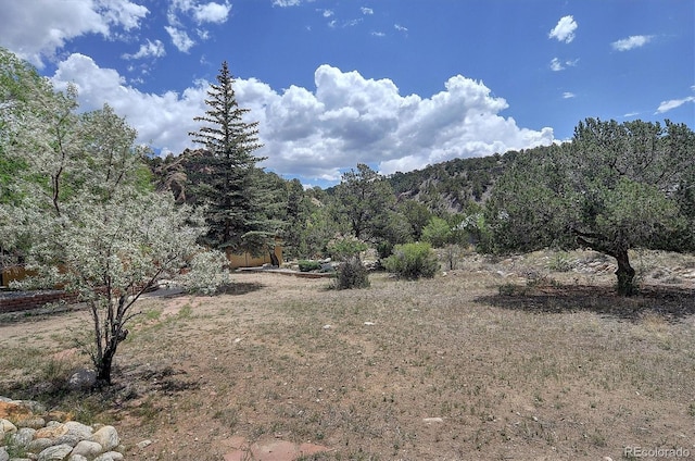 30600 County Road 371, Buena Vista, CO 81211 - view of mountain background