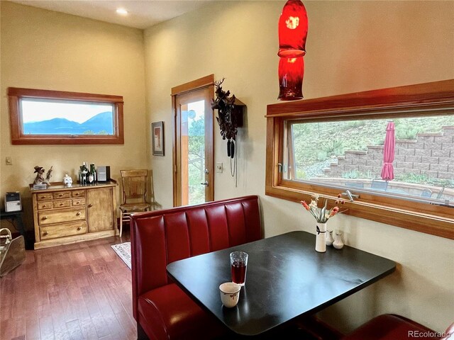 dining space featuring dark hardwood / wood-style floors