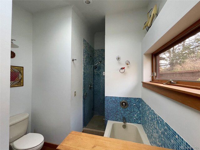 bathroom with a bathing tub and toilet