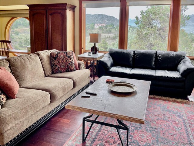 living room with a mountain view and hardwood / wood-style floors