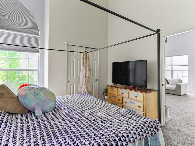 8361 S Upham Way Unit 209, Littleton, CO 80128 - bedroom with carpet and multiple windows