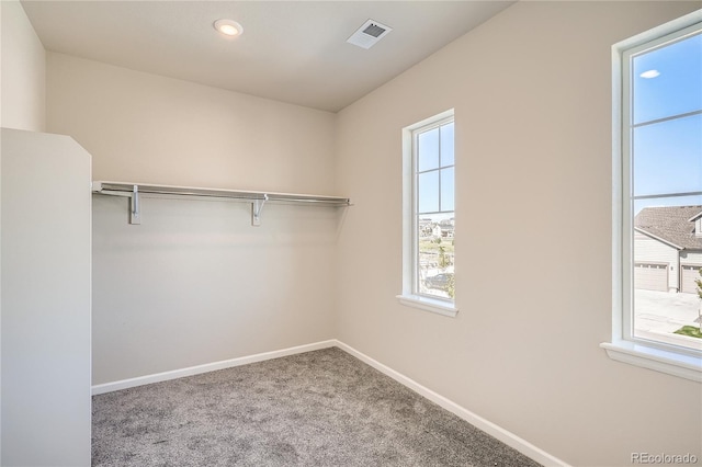 walk in closet featuring visible vents and carpet floors