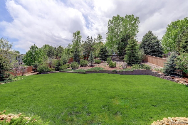 2840 Canyon Crest Ln, Highlands Ranch, CO 80126 - view of yard