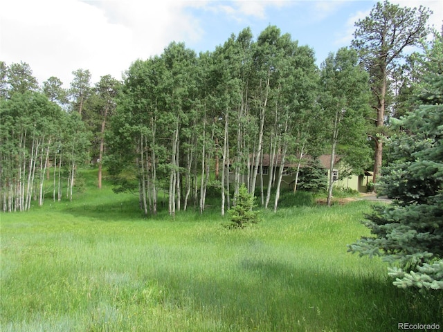 23136 Kiowa Rd, Indian Hills, CO 80454 - photo 3