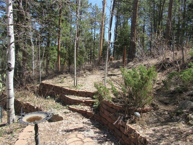 23136 Kiowa Rd, Indian Hills, CO 80454 - photo 25