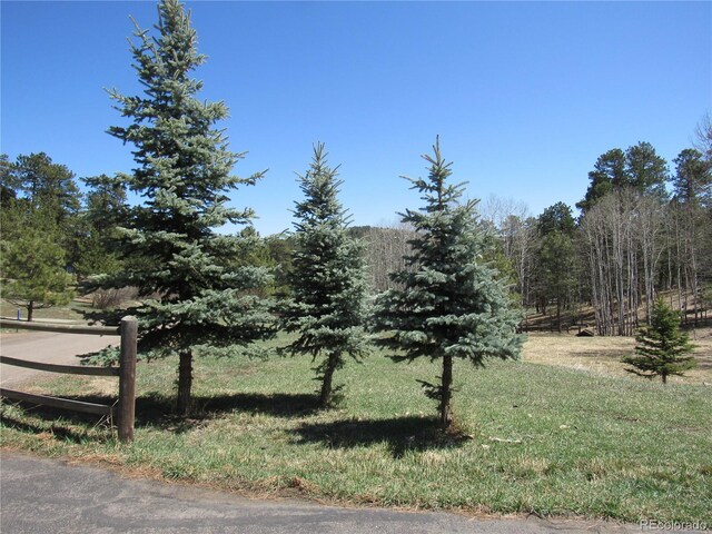 23136 Kiowa Rd, Indian Hills, CO 80454 - photo 33