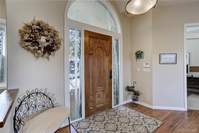 entryway with wood-type flooring