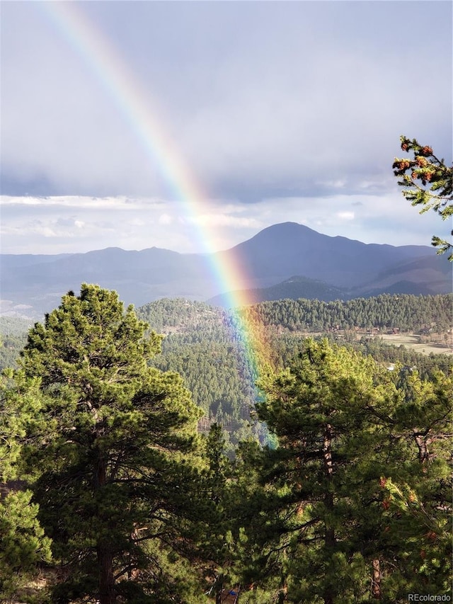 view of mountain feature featuring a view of trees