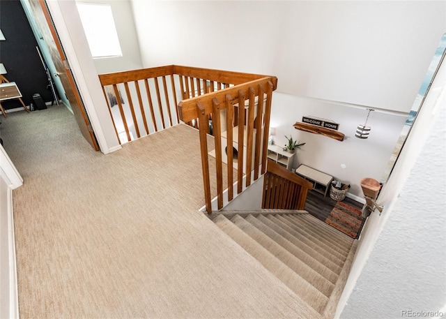 staircase with carpet flooring