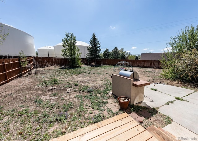 view of yard featuring a patio and a fenced backyard