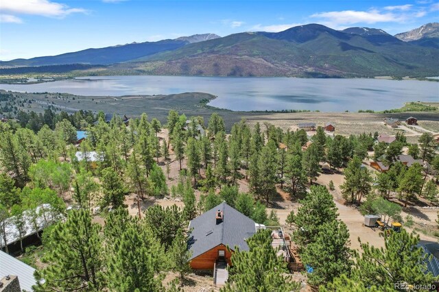 275 La Plata Peak Dr, Twin Lakes, CO 81251 - photo 1