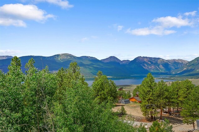 275 La Plata Peak Dr, Twin Lakes, CO 81251 - photo 2