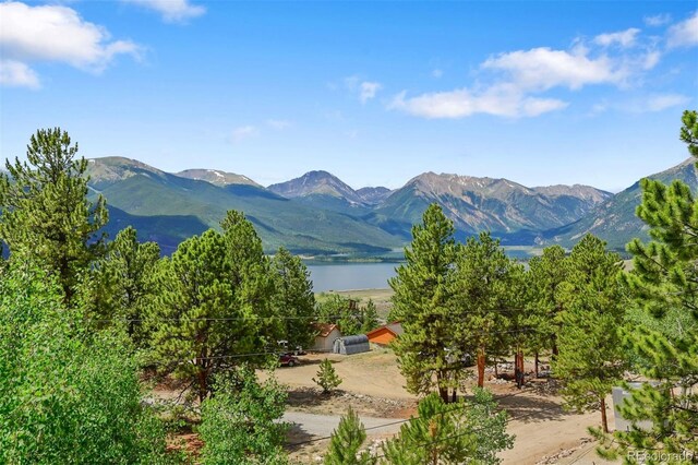 275 La Plata Peak Dr, Twin Lakes, CO 81251 - photo 6