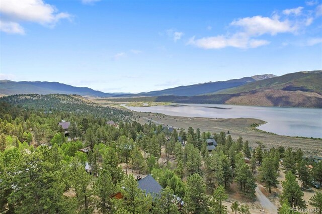 275 La Plata Peak Dr, Twin Lakes, CO 81251 - photo 10