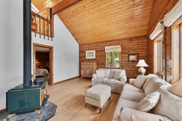 275 La Plata Peak Dr, Twin Lakes, CO 81251 - photo 26