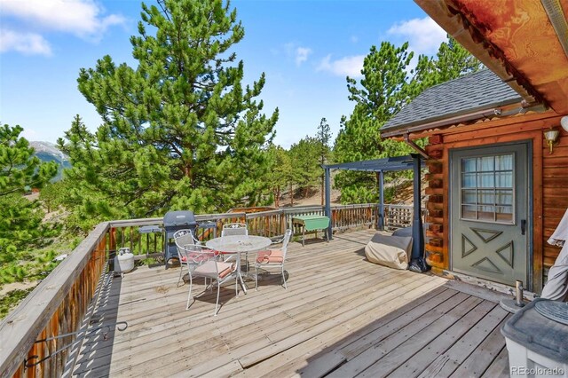 275 La Plata Peak Dr, Twin Lakes, CO 81251 - photo 35