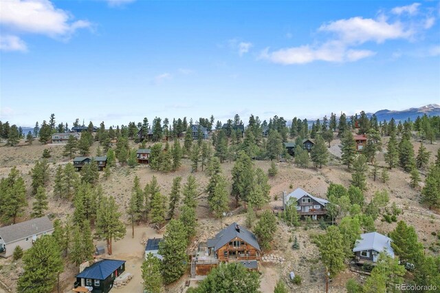 275 La Plata Peak Dr, Twin Lakes, CO 81251 - photo 38