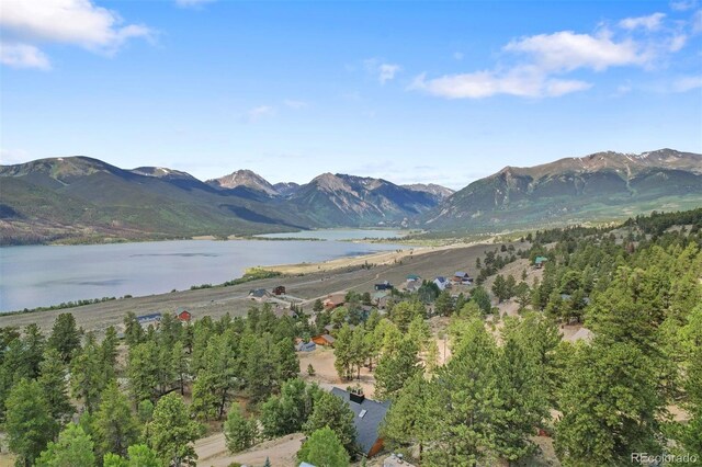 275 La Plata Peak Dr, Twin Lakes, CO 81251 - photo 39