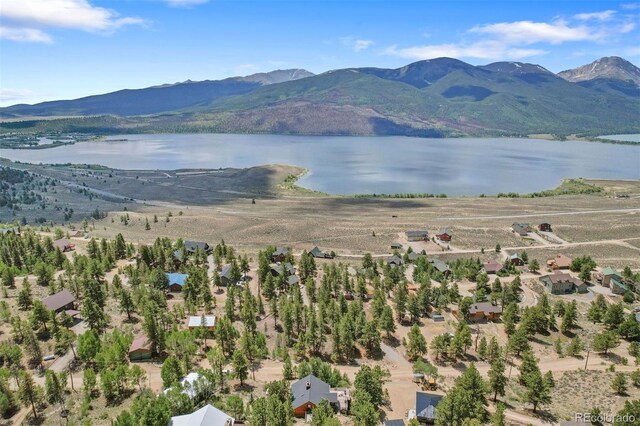 275 La Plata Peak Dr, Twin Lakes, CO 81251 - photo 40