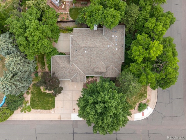 11851 W 32nd Pl, Wheat Ridge, CO 80033 - photo 6