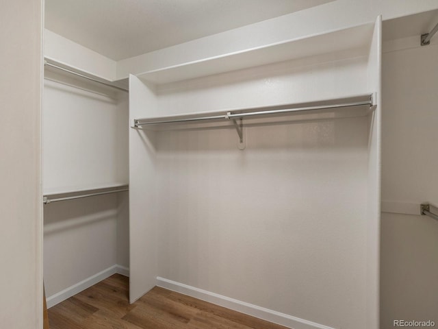 11851 W 32nd Pl, Wheat Ridge, CO 80033 - photo 30
