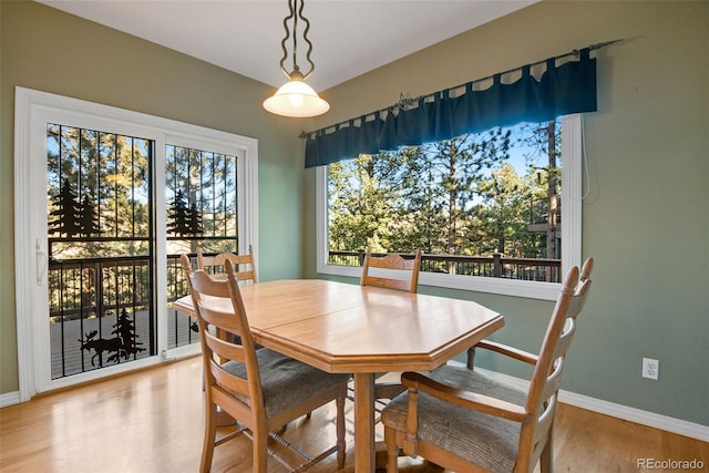 dining area featuring light hardwood / wood-style flooring