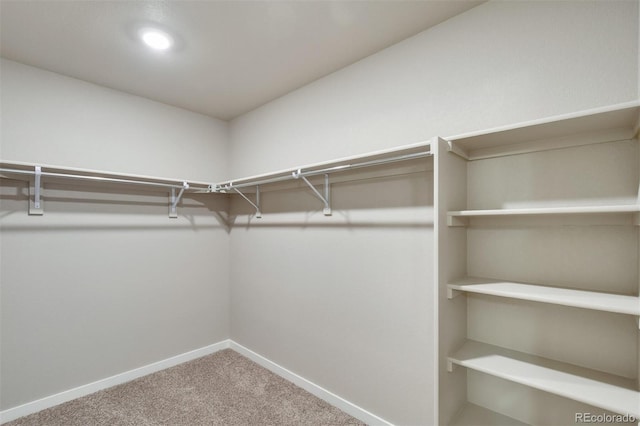 9910 Biscay St, Commerce City, CO 80022 - walk in closet featuring carpet