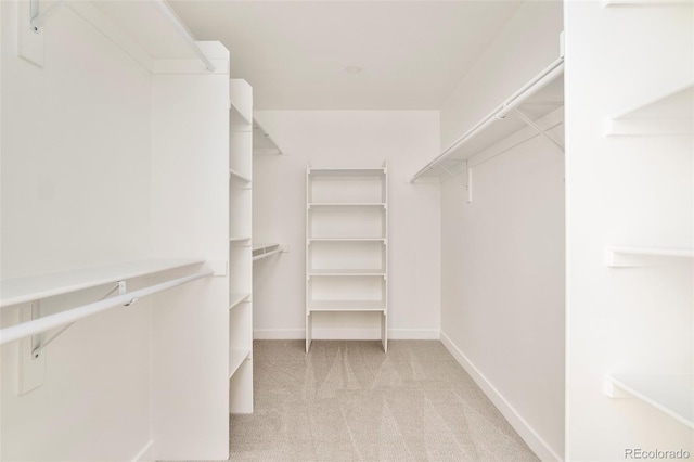 spacious closet featuring carpet flooring