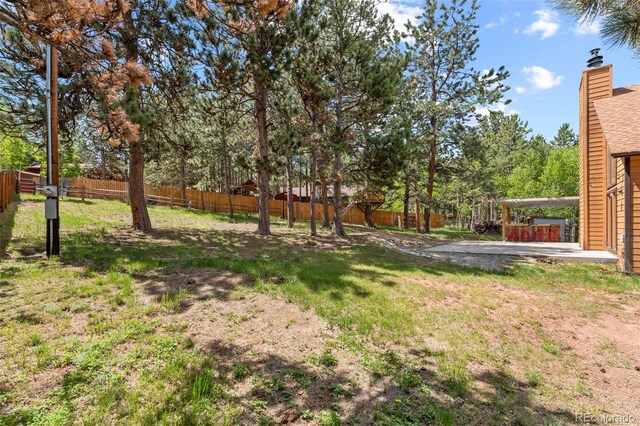1345 Leslie Cir, Woodland Park, CO 80863 - view of yard