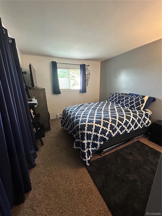 7132 Xavier Way, Westminster, CO 80030 - bedroom with carpet floors