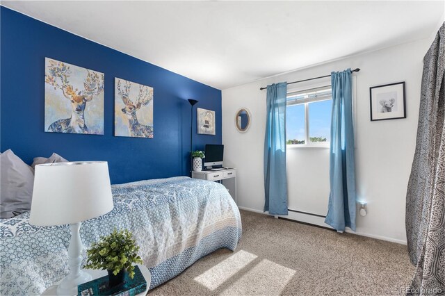 7132 Xavier Way, Westminster, CO 80030 - bedroom with carpet and baseboard heating