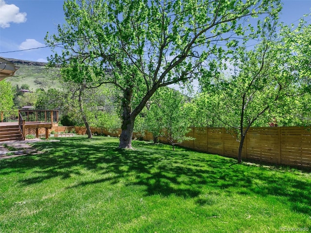 207 Iowa Dr, Golden, CO 80403 - view of yard with a wooden deck
