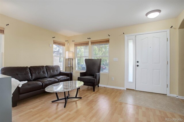 living room featuring light hardwood / wood-style floors