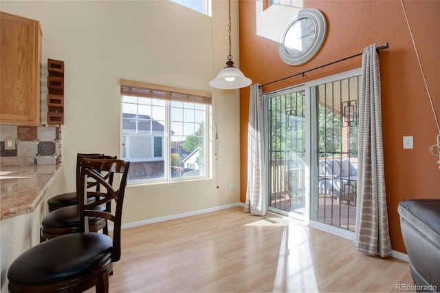 doorway to outside with a wealth of natural light and light hardwood / wood-style flooring