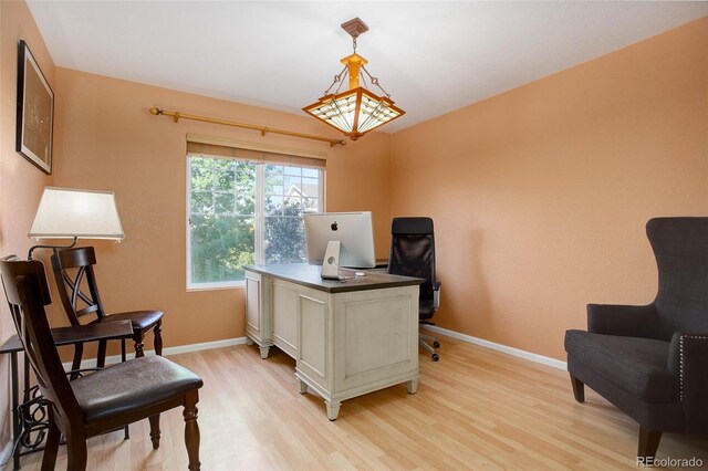 office space featuring light wood-type flooring