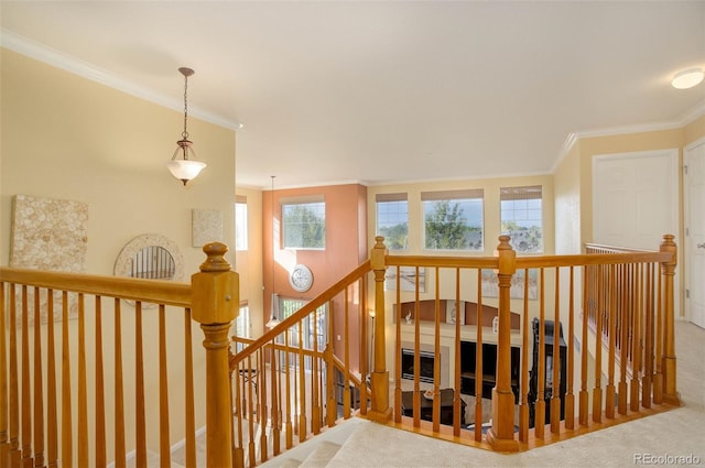 stairway with carpet and ornamental molding