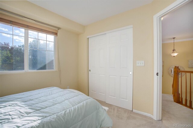 carpeted bedroom with crown molding and a closet