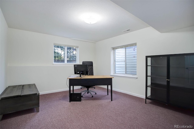 carpeted home office with plenty of natural light