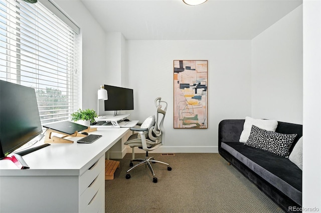 4394 Zenobia St, Denver, CO 80212 - office space featuring carpet and baseboards