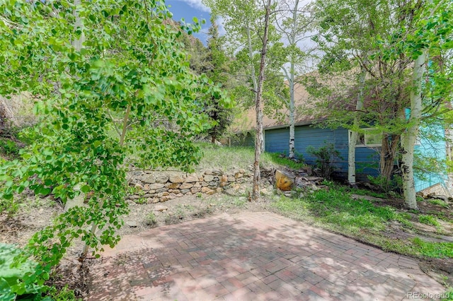 1324 Virginia St, Idaho Springs, CO 80452 - photo 5