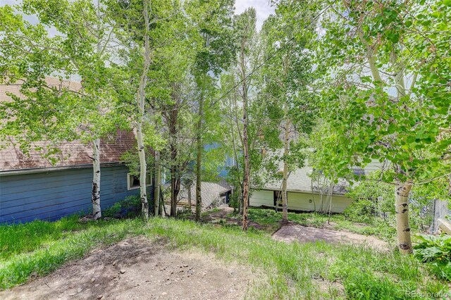 1324 Virginia St, Idaho Springs, CO 80452 - photo 8