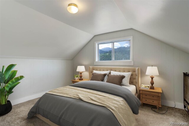 1324 Virginia St, Idaho Springs, CO 80452 - photo 9