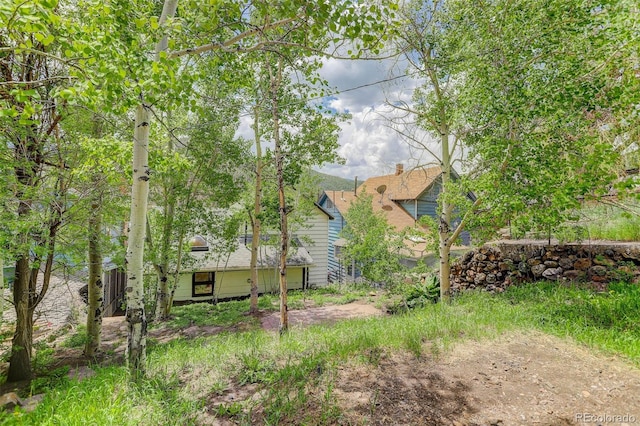 1324 Virginia St, Idaho Springs, CO 80452 - photo 4