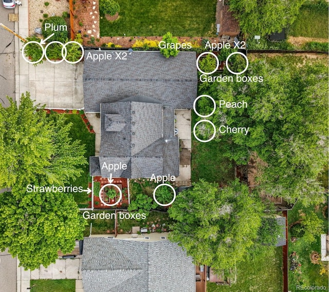 6830 Lamar St, Arvada, CO 80003 - bird's eye view