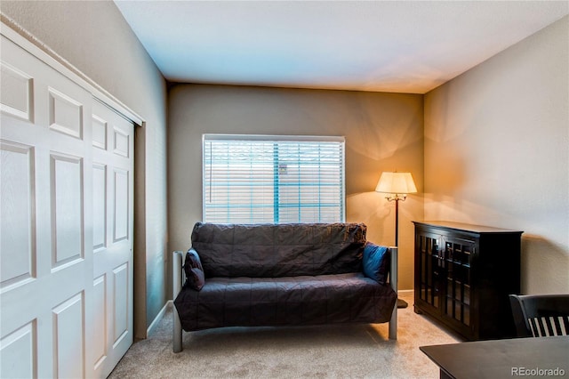 living area with carpet flooring